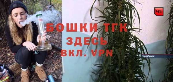 тгк Нея